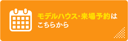 image photo